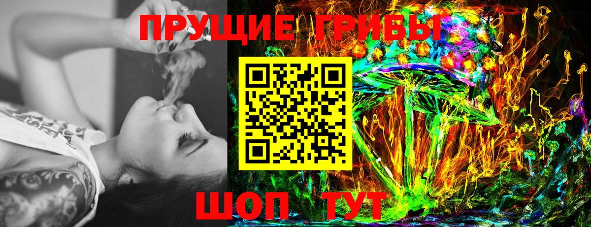 Псилоцибиновые грибы Psilocybine cubensis Саранск