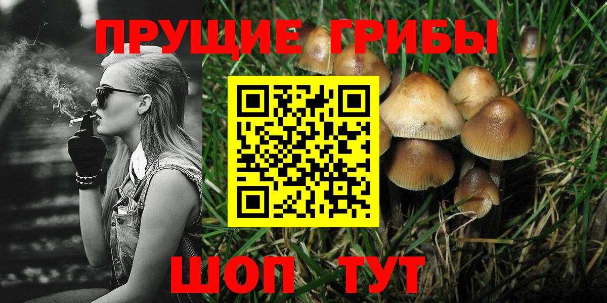 Псилоцибиновые грибы Psilocybine cubensis  Псилоцибиновые грибы GOLDEN TEACHER  Саранск  Вход с VPN 